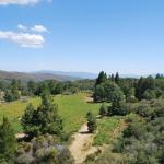 Palomar_0068 (September 10, 2011)